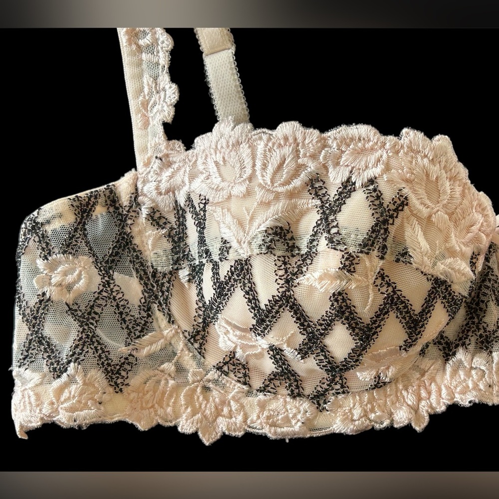 Lise Charmel Vintage Lace Floral Embroidery Demi Bra 34B France Couture - Picture 3 of 13